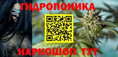 бошки Гатчина