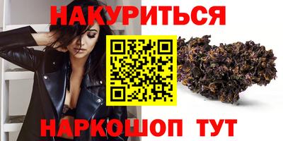 индика Гагарин