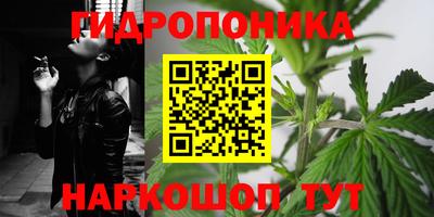 mdma Гай