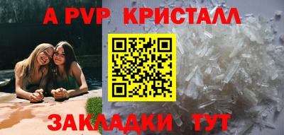 бошки Гатчина