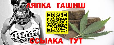 бошки Гатчина