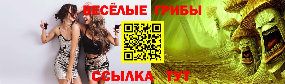 Псилоцибиновые грибы GOLDEN TEACHER Минеральные Воды