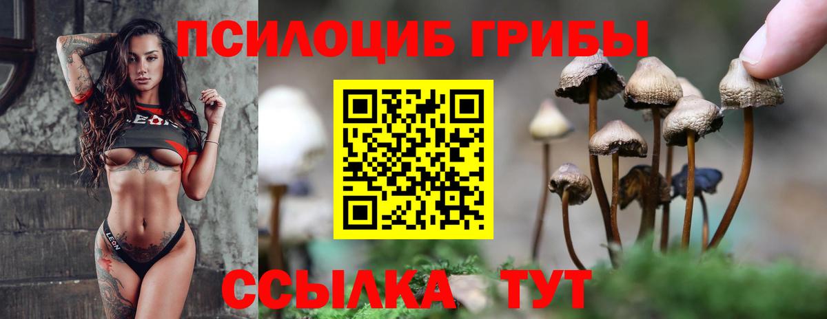 Псилоцибиновые грибы мухоморы  Псилоцибиновые грибы Magic Shrooms  Минеральные Воды  Вход с VPN 